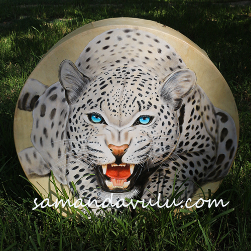 kar kaplanı şaman davulu